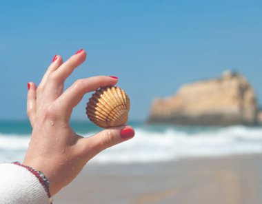 Kadın bir kabuk tutar, arka planda deniz kabuğu - metin için boşluk, seçici odak