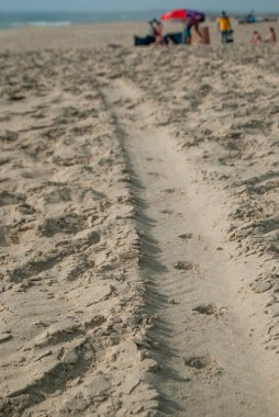 Arka planda bir aile olan kumsalda lastik izleri oluşuyor - 10.06.2021, Aveiro, Portekiz, Seçici odak.