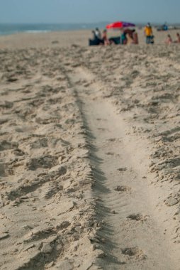 Yaz günü ve arka planda neşeli bir aile ile kumsalda lastik izleri - 10.06.2021, Aveiro, Portekiz, Seçici odak.