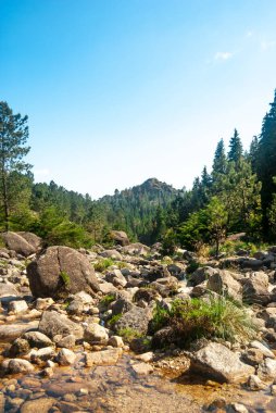 Kayalıklardaki küçük nehir manzaralı orman manzaralı arka planda bir dağ - Dikey, Portekiz, Geres Ulusal Parkı