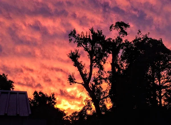 Zářící Letní Západ Slunce Bouři Siluetou Stromů Popředí Richmond Usa — Stock fotografie