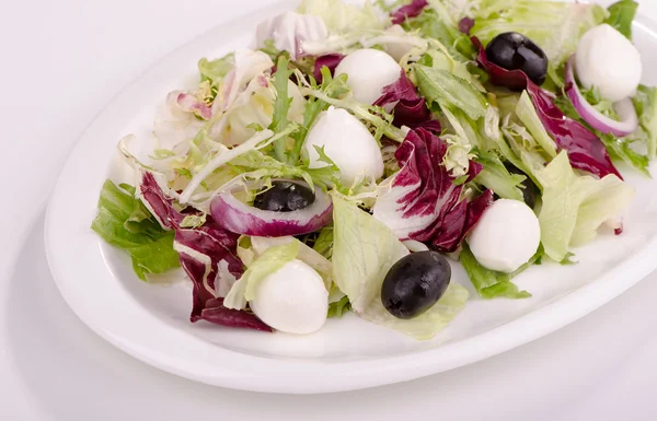 Salat mit Salat, Mozzarella und Oliven auf einem Teller mischen — Stockfoto