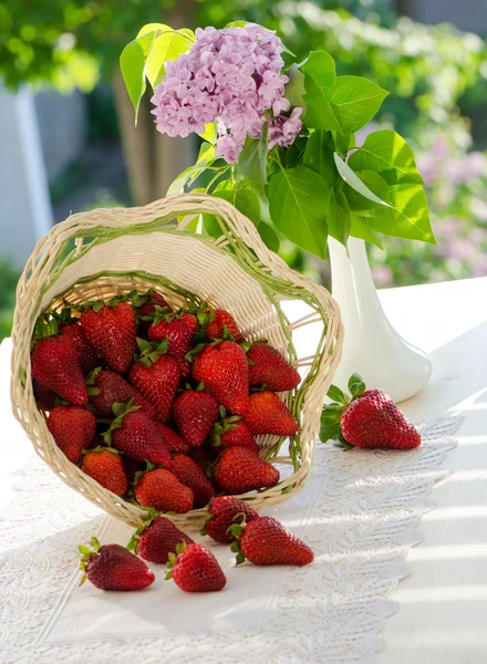 Strawberries, berries in the basket — Stock Photo, Image