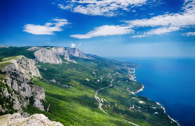 manzara, kıyı şeridi, orman ve yol