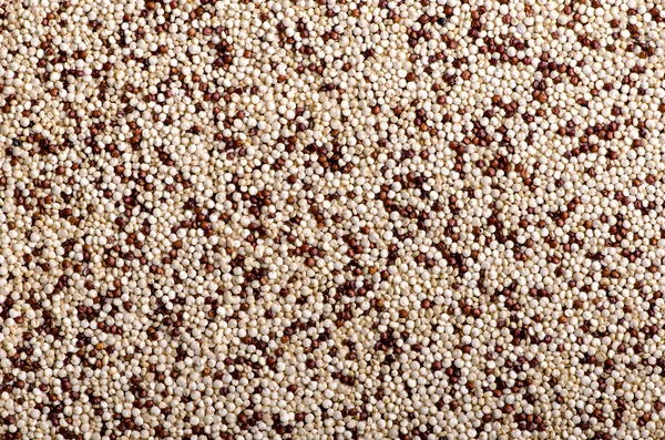 Mixed  of red and white quinoa — Stock Photo, Image