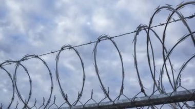Telin üzerinde oturan bir kuş. Yüksek kaliteli görüntüler