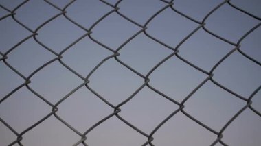 Tellerin üzerine tünemiş büyük bir kuş. Yüksek kaliteli görüntüler