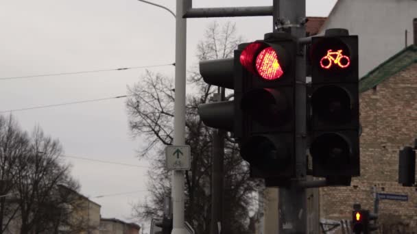 Een Verkeerslicht Een Straat Hoge Kwaliteit Beeldmateriaal — Stockvideo