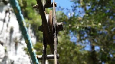 Bir ağacın yanında duran bir elektrik direğinin yakın çekimi. Yüksek kaliteli görüntüler