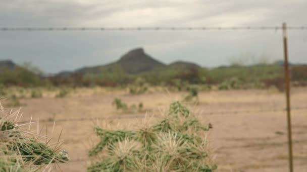 Una Señal Campo Tierra Imágenes Alta Calidad — Vídeos de Stock