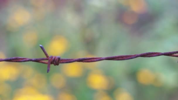 Close Wire Fence High Quality Footage — Stock Video