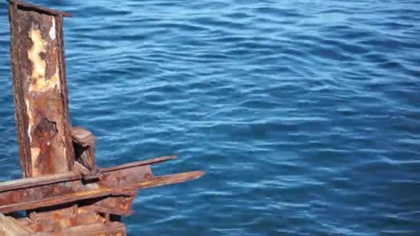 Деревянная Лодка Водоеме Высококачественные Кадры — стоковое видео