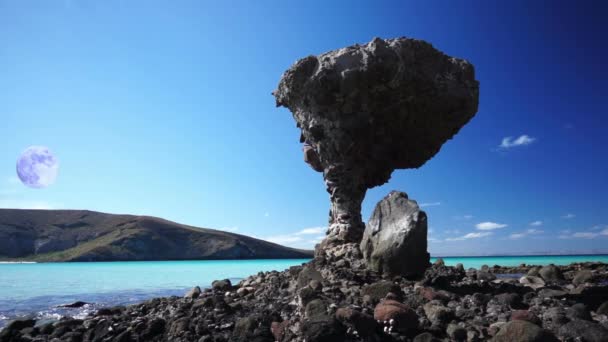 Okyanus Yakınlarındaki Bir Kayanın Üzerinde Bir Grup Insan Yüksek Kaliteli — Stok video