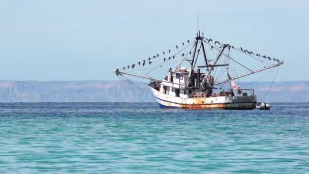 Una piccola barca in un grande specchio d'acqua — Video Stock