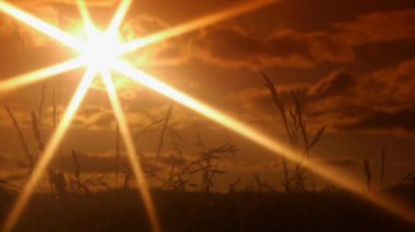 Gece bir tabela yandı. Yüksek kaliteli görüntüler