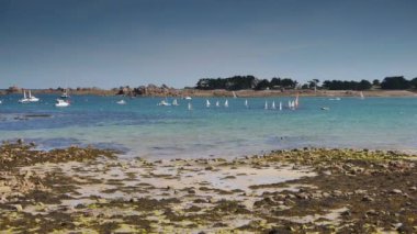 Sahilde bir grup insan bir su kütlesinin yanında. Yüksek kaliteli görüntüler