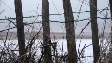 Ağacın yanında metal bir direk. Yüksek kaliteli görüntüler
