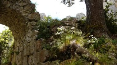 Kayalık bir uçurumun üzerinde büyük bir şelale. Yüksek kaliteli görüntüler