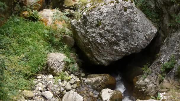 Bir Kayanın Yakın Çekimi Yüksek Kaliteli Görüntüler — Stok video