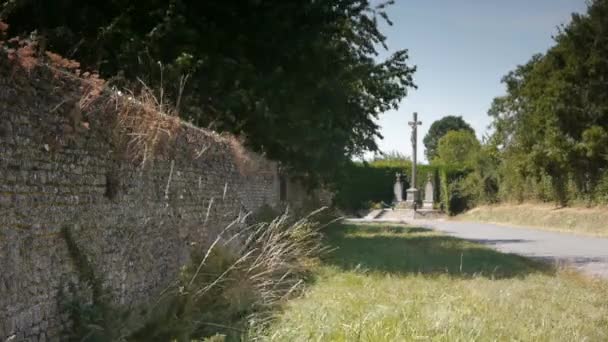 Albero Mezzo Campo Filmati Alta Qualità — Video Stock