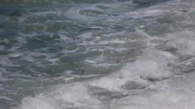 Okyanusun yanındaki su. Yüksek kaliteli görüntüler