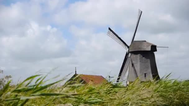 Moulin Vent Dessus Champ Couvert Herbe Images Haute Qualité — Video