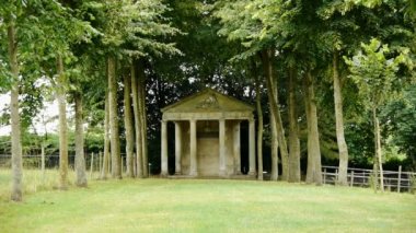 Çimenli bir alanda bir ağaç. Yüksek kaliteli görüntüler