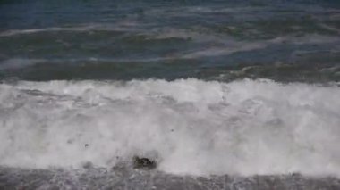 Suda sörf tahtası üzerinde sörf yapan bir adam. Yüksek kaliteli görüntüler