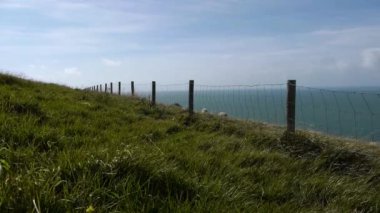 Çimlerle kaplı bir arazinin tepesinde bir tabela. Yüksek kaliteli görüntüler