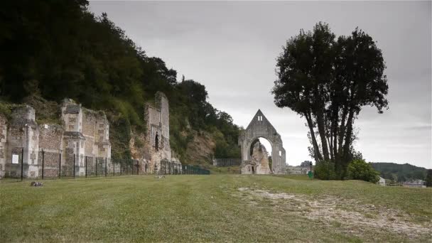 草の野を持つ建物 高画質映像 — ストック動画