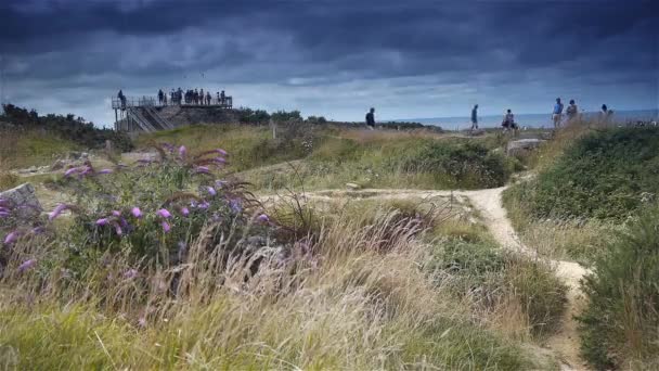 Eine Gruppe Von Menschen Geht Auf Einem Grasbewachsenen Hügel Spazieren — Stockvideo