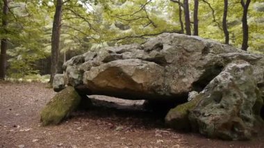 Bir kayanın yakın çekimi. Yüksek kaliteli görüntüler