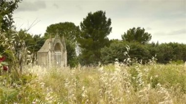 Evin önündeki bir ağaç.