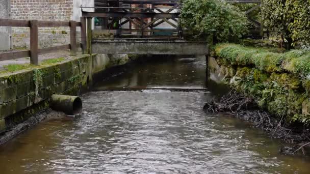 Uma ponte sobre um rio em uma piscina de água — Vídeo de Stock