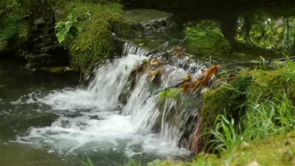 Velký vodopád nad vodní plochou — Stock video