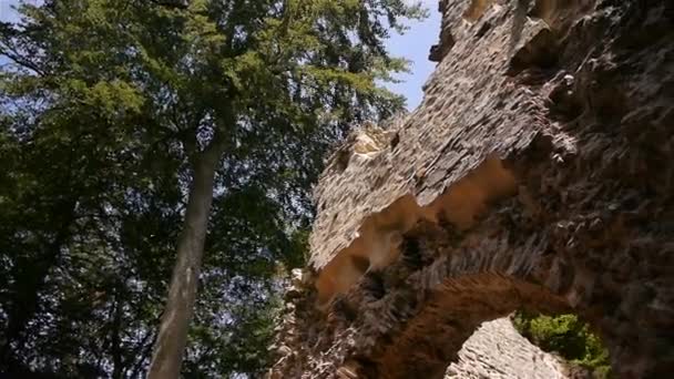 Un gros plan d'un rocher à côté d'un arbre — Video