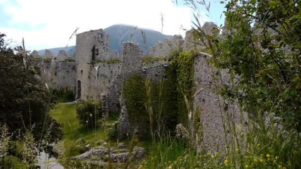 Un castello in cima a un campo coperto d'erba — Video Stock