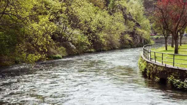 Een boot op een rivier naast een plas water — Stockvideo