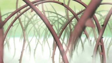 Bisiklette oturan bir kadın. Yüksek kaliteli görüntüler