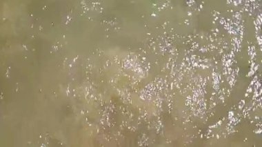 Okyanusun yanındaki su. Yüksek kaliteli görüntüler