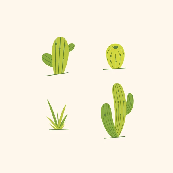 Différents Types Cactus Illustration Vectorielle Plate — Image vectorielle