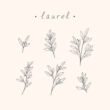 Bir körfez ağacının dalı. Düz vektör illüstrasyonu.