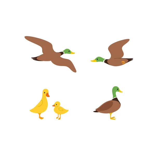 Icono Línea Dibujo Pato Dibujos Animados Ute Bird Icons Set — Archivo Imágenes Vectoriales