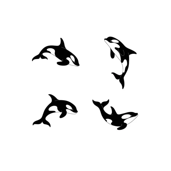 Icono Línea Boceto Ballena Cazadora Dibujos Animados Ute Animales Conjunto — Vector de stock