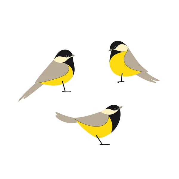 Set Icone Uccelli Dei Cartoni Animati Diverse Pose Chickadee Illustrazione — Vettoriale Stock