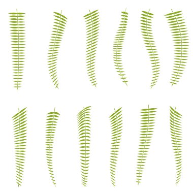 Fern bırakır. Ayarla