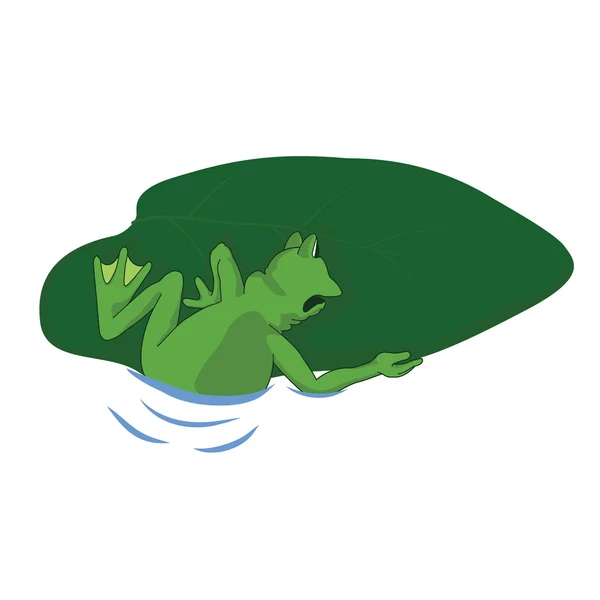 Kurbağa kağıda tırmanıyor