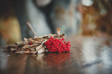 Masanın üzerinde Berry