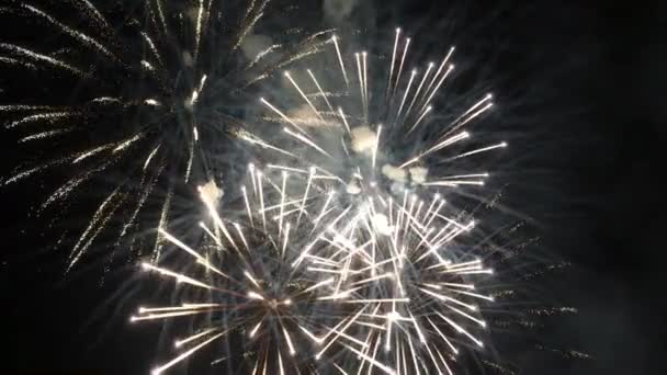 Fogos de artifício no céu — Vídeo de Stock