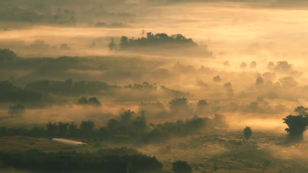 Un coucher de soleil en arrière-plan — Video